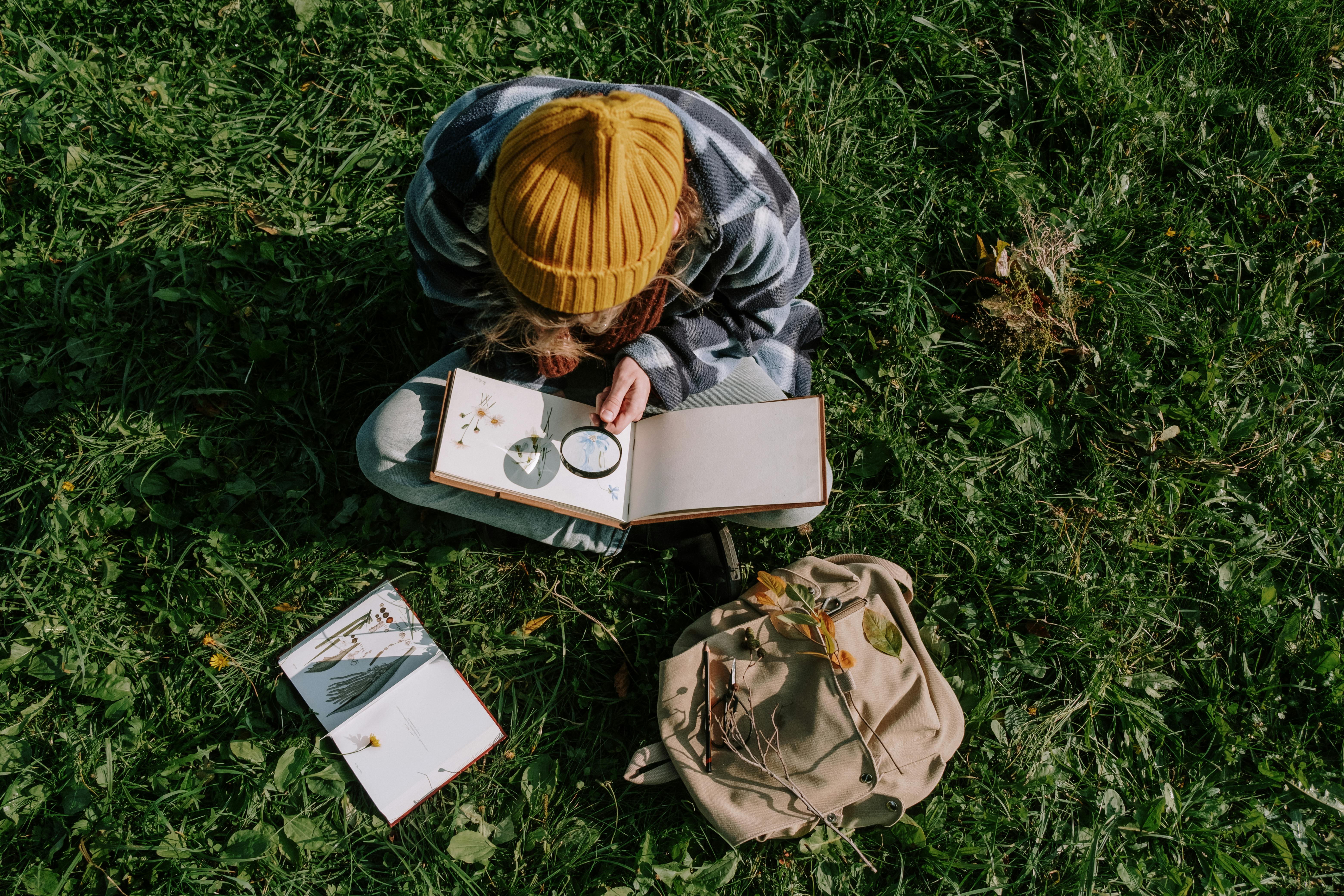 Enfant observant son carnet nature